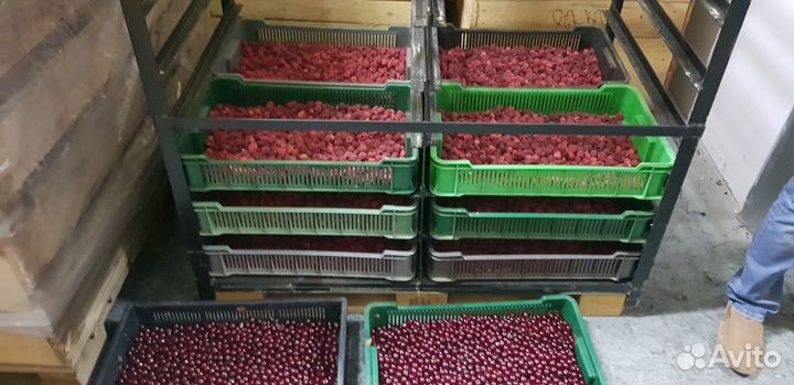 Услуги по шоковой заморозке продуктов