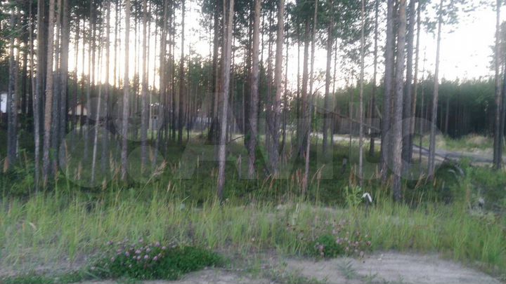Участок 6 сот. (ИЖС)