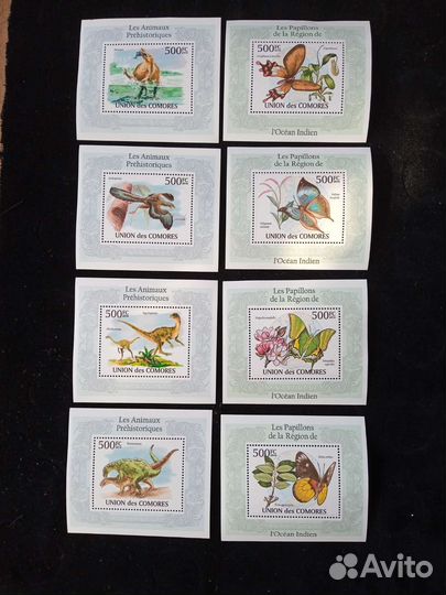 Коморы морская фауна чистые