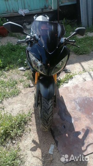 Falcon. Speedfire250 sport