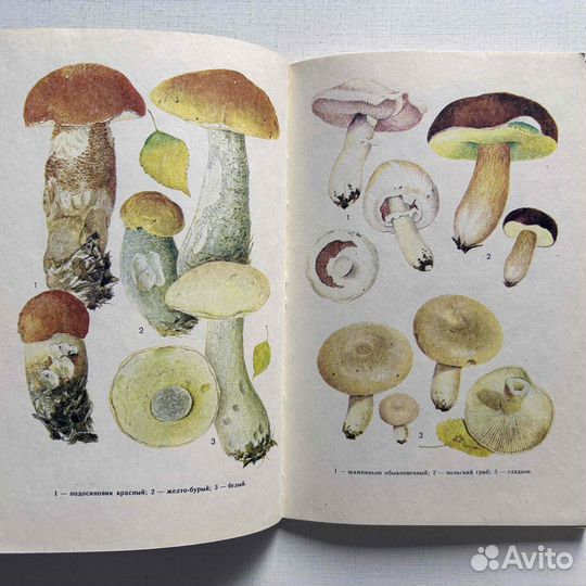 Угланов Н.Д. 