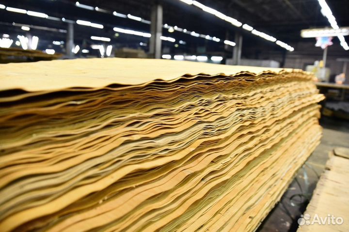 Сортировщик