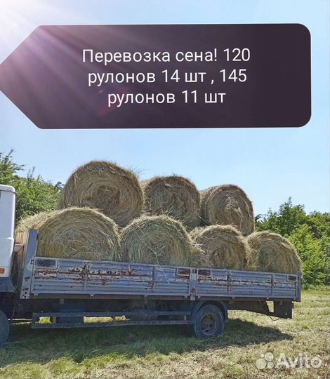 Разнотравие