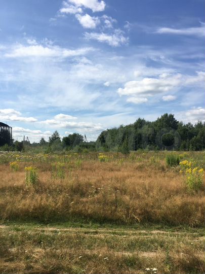 Участок 50 сот. (ИЖС)