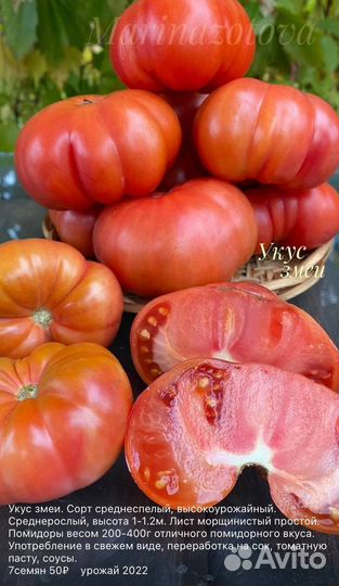 Семена томатных гномов. Dwarf Tomato Project