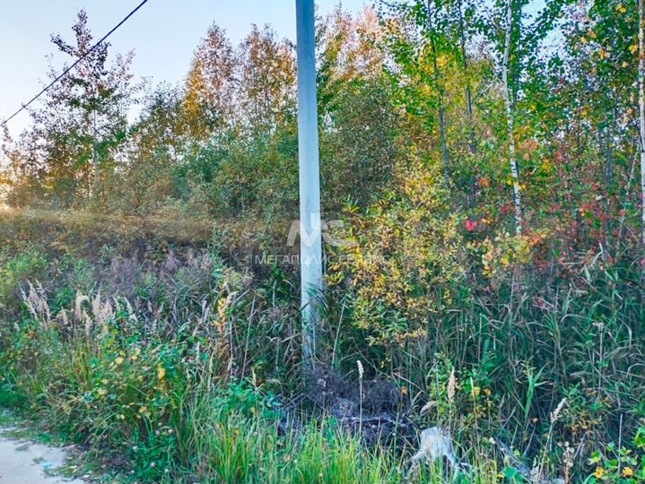 Участок 6 сот. (СНТ, ДНП)