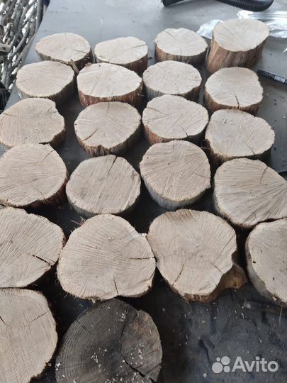 Спилы дерева