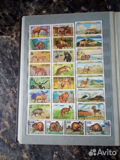 Почтовые марки