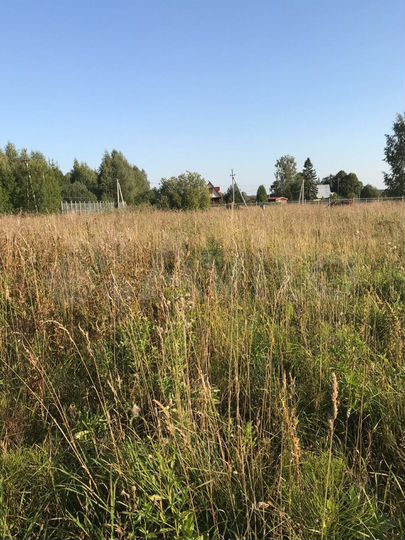 Участок 25 сот. (ИЖС)