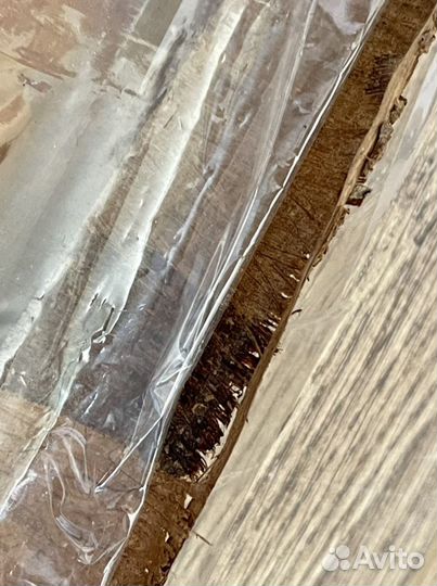 Папирус из Египта