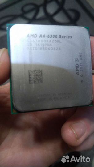 Процессоры intel и AMD