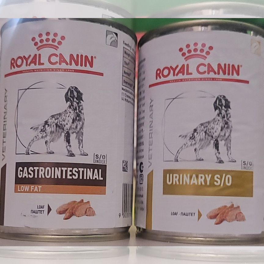 Влажный корм для собак royal canin