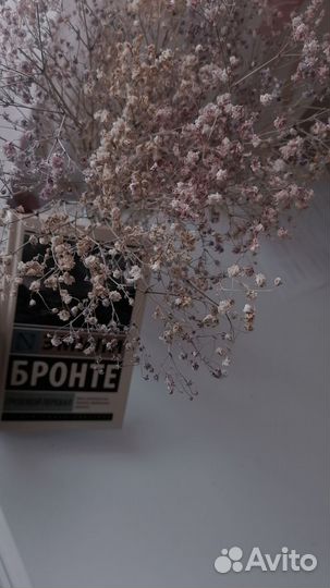 Художественная литература