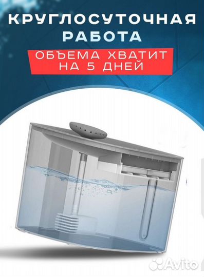 Автопоилка для кошек