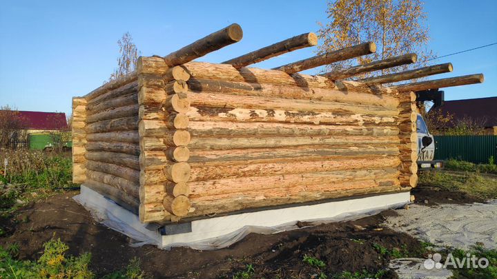 Срубы для бани и дома из сосны Башкирский лес