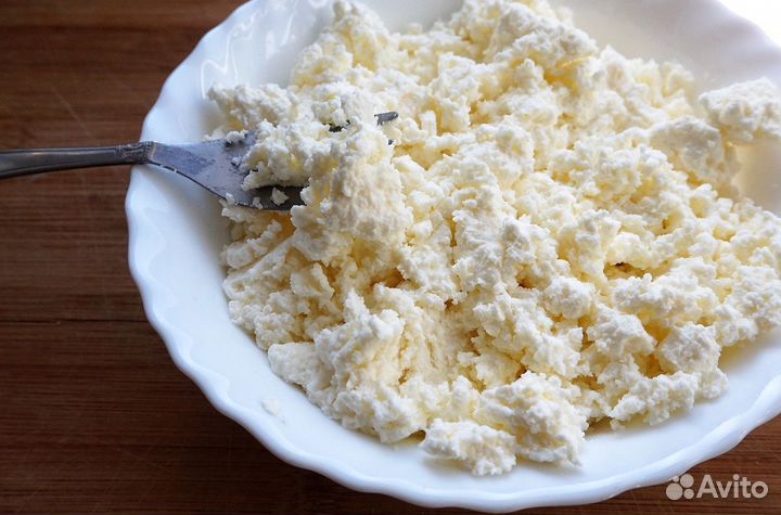 Творог Оптом