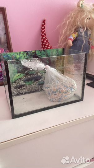 Аквариум небольшой
