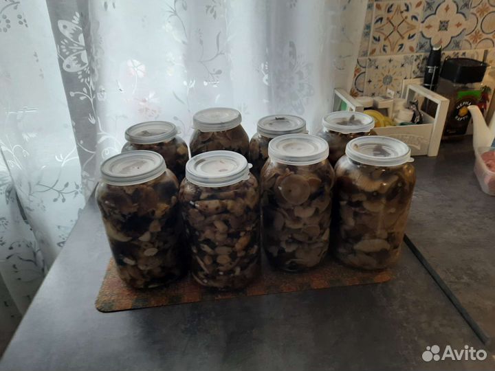 Грибы опята маринованные