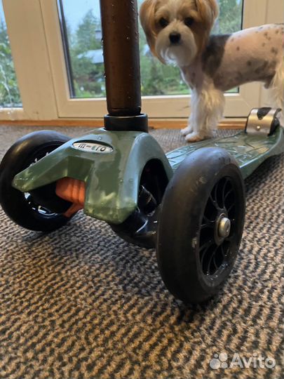 Детский самокат maxi micro