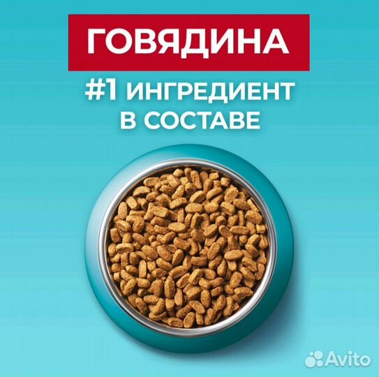 Сухой корм для кошек purina one 3 кг