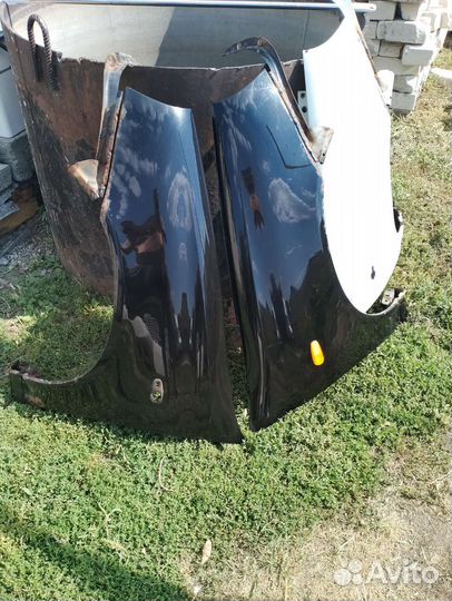 Крылья передние Калина