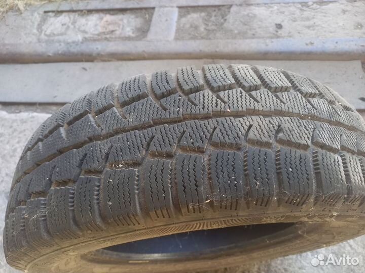 Cordiant Polar SL 4/55 R14