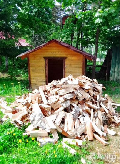 Дрова в Выборге