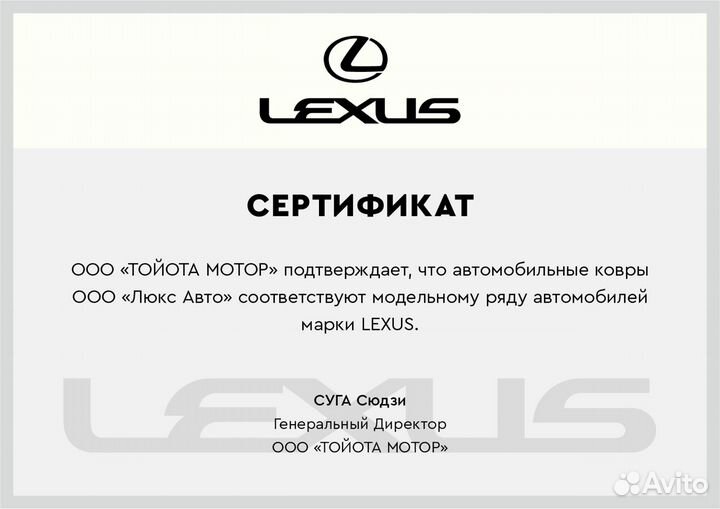 3D Коврики Lexus NX из Экокожи