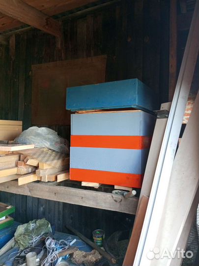 Пчелы бакфаст, улья