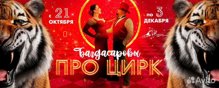 Билеты в цирк