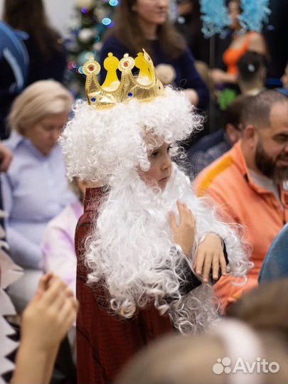 Выездные Новогодние спектакли в школу. Дед Мороз