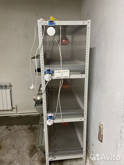 Клетки и брудеры для кур и перепелов