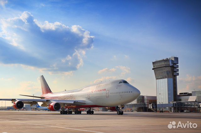 Инспектор по досмотру