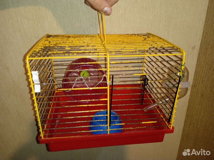 Клетки для хомяка, крысы, попугая, птиц