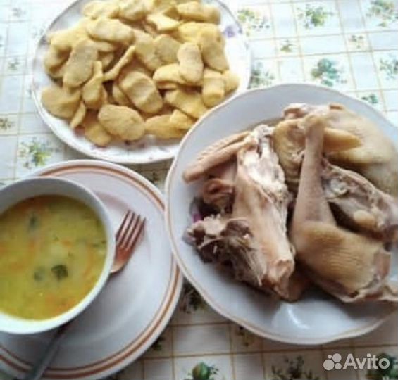 Разные куры