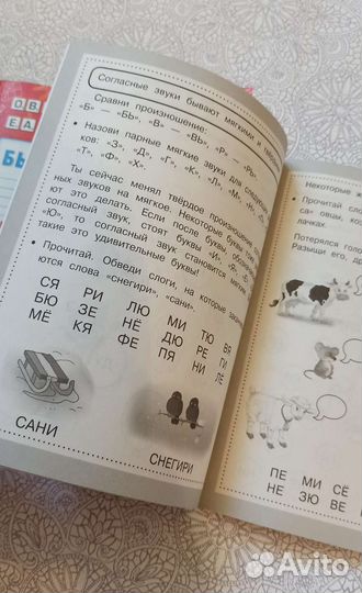 Книги для первого чтения