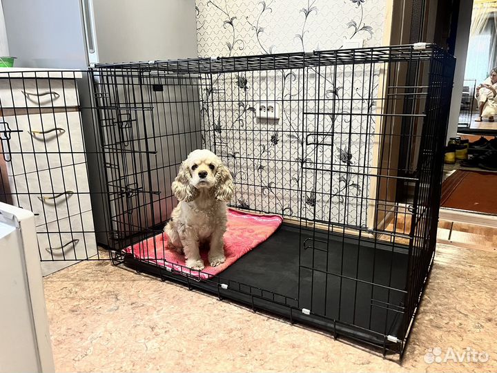 Клетка большая для собаки бу