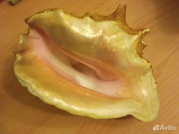 Декор для аквариума