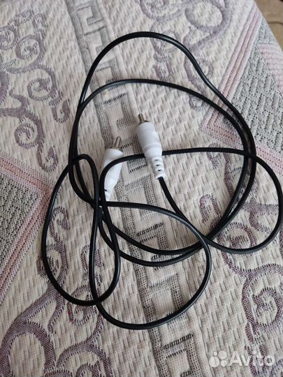 Тюльпаны провода