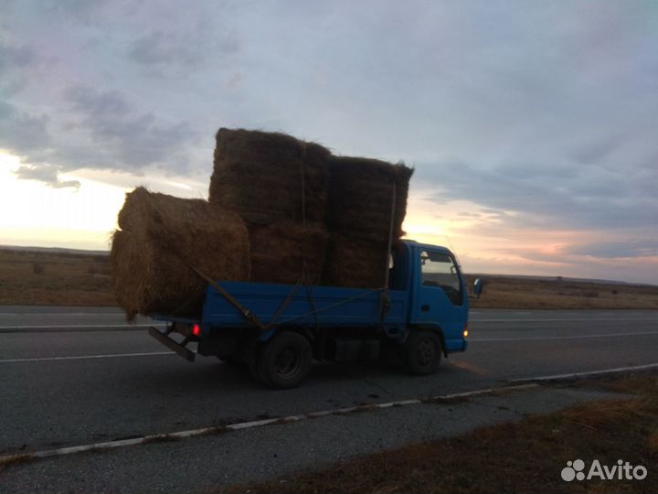 Продам сено в рулонах