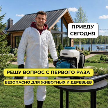 Обработка от клещей, тараканов, клопов Дезинфекция