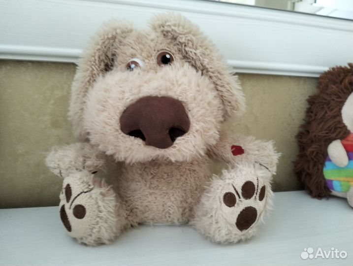 Собака всё помнит