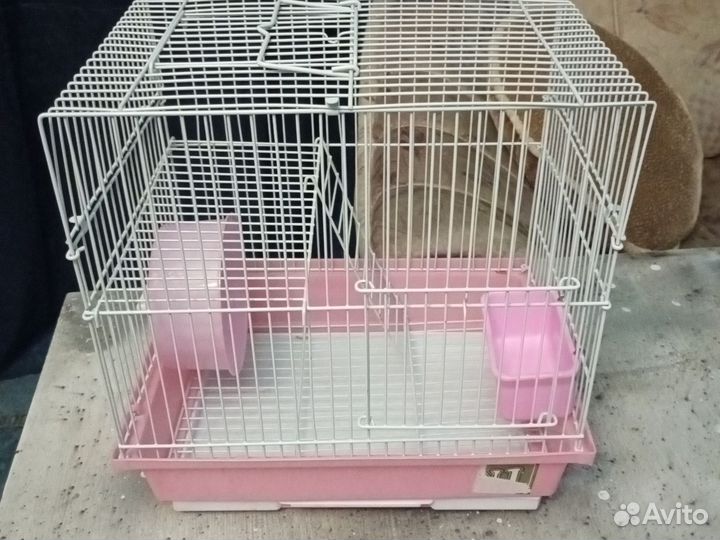 Клетки