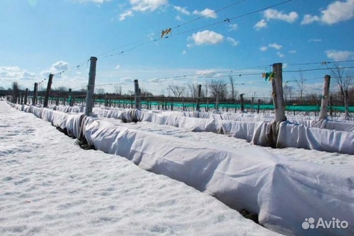 Спанбонд агро спанбонд