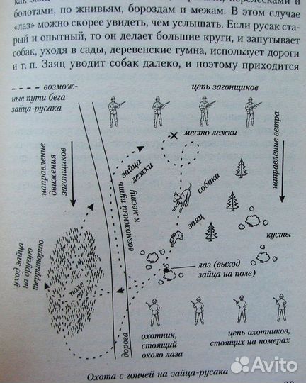 Сугробов В. Охота на зайца