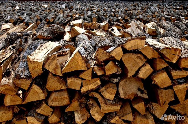 Дрова сухостой