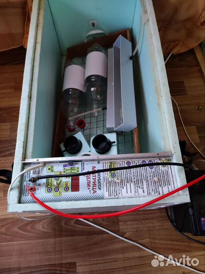 Инкубатор для яиц автоматический бу