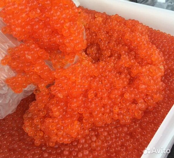 Красная икра горбуши с Камчатки опт и мелкий опт
