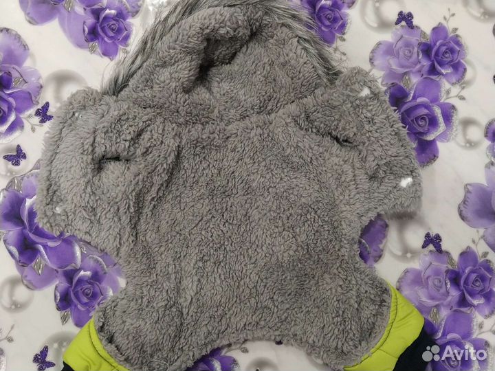 Одежда для щенков (Йорк)