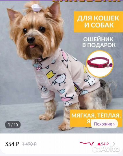 Одежда для кошек и собак
